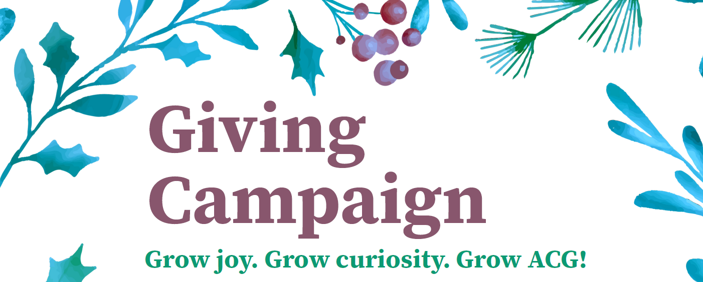 2025 Giving Campaign